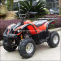 Kinder 50cc Quad ATV 4 Wheeler